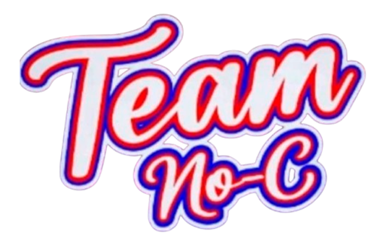 TeamNoc Logo